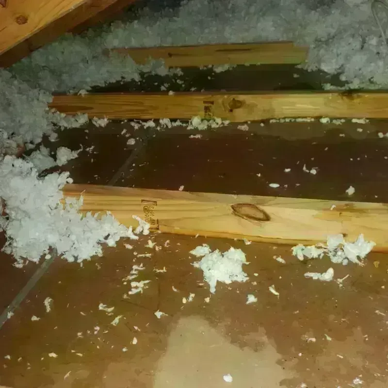 Attic Water Damage in Lowell, AR