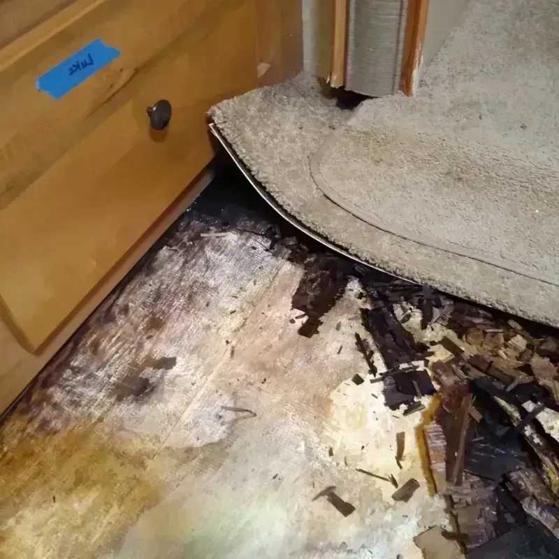 Wood Floor Water Damage in Lowell, AR